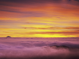 Mt Baker Peeks Above the Clouds in Olympic National Park  Washington  USA