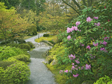 Japanese Garden at the Washington Park Arboretum  Seattle  Washington  USA