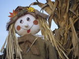 Scarecrow and Dead Corn Husks  Carnation  Washington  USA