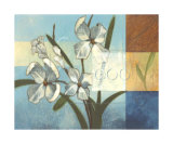 Flower Patch II