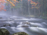 Big Moose River Rapids in Fall  Adirondacks  New York  USA