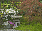 Japanese Garden at the Washington Park Arboretum  Seattle  Washington  USA