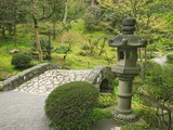 Japanese Garden at the Washington Park Arboretum  Seattle  Washington  USA