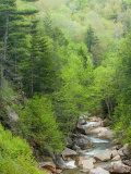 Spring on the Pemigewasset River  Flume Gorge  Franconia Notch State Park  New Hampshire  USA