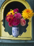 Dahlia Flowers in Vase  Ornate Window Frame  Bellingham  Washington  USA