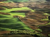 View of Palouse Farm Country Cultivation Patterns  Washington  USA