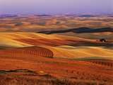 View of Colorful Palouse Farm Country at Twilight  Washington  USA