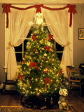 Decorated Christmas Tree Displays in Window  Oregon  USA