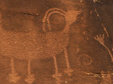 Prehistoric Petroglyph Rock Art at Dinosaur National Monument  Utah  USA