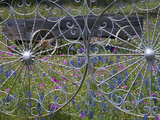 Wheel Gate and Fence with Blue Bonnets  Indian Paint Brush and Phlox  Near Devine  Texas  USA