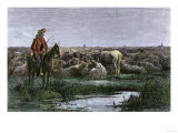 Cowboys Guarding the Herd at Night during a Texas to Kansas Cattle Drive 1800