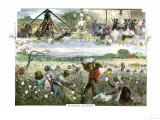 African American Slaves Picking  Baling and Ginning Cotton by Steam