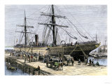 African-American Stevedores Loading Cotton on a Ship in Charlestown  South Carolina  c1870