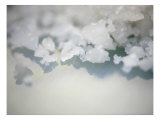 Salt Crystals