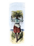 African-American Woman Carrying Sheaves on a Rice Plantation