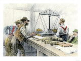 Klondike Miners Weighing Their Gold in a Dawson City Bank  c1898