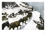 Mule Train Going to the Silver Mines of Colorado