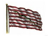 Colonists' Rattlesnake Flag with Don't Tread on Me Slogan
