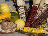 Squash  Corn  and Beans: the Three Sisters of Native American Agriculture