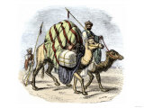 Camel Caravan Loaded with Goods