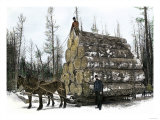 Big Load of Logs on a Skidder in Michigan  c1880