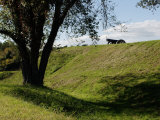 Cannon Atop a Redoubt at Yorktown Battlefield  Virginia