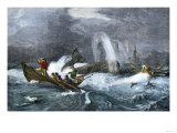 South Sea Whaling