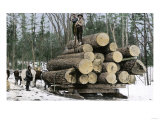 Loggers with an Ordinary Haul on an Ox-Drawn Sledge  Minnesota  c1890