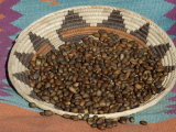 Pinon Nuts  an Important Food of Southwestern Native Americans  in an Indian Basket