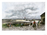 Sutter's Fort in the 1840S When It Became the Center of the California Gold Rush