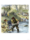 Prospectors Panning for Gold in the California Gold Rush