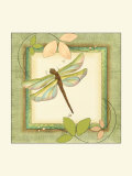 Dragonfly Ambrosia II