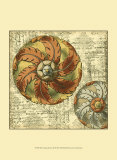 Vintage Rosette III
