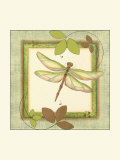 Dragonfly Ambrosia I