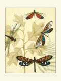 Graphic Dragonflies in Nature I