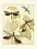 Graphic Dragonflies in Nature II