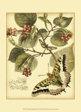 Whimsical Butterflies I