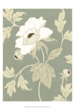 Peony Elegance I