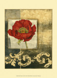 Poppy Poetry II