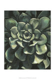 Lunar Succulent I