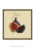 Italian Fruit VI