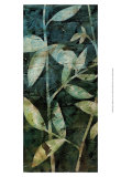 Mystic Reflections Panel I