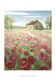Pink Meadow
