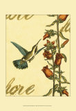 Peaceful Hummingbird I