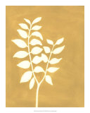 Four Seasons Foliage I