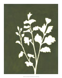 Four Seasons Foliage II