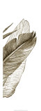 Bird of Paradise Triptych III