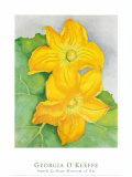 Squash Blossoms