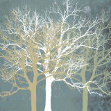 Tranquil Trees