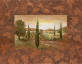 Vineyard Morning I